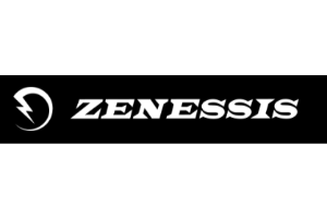 ENDRESS ZENESSIS GROUP S.R.L