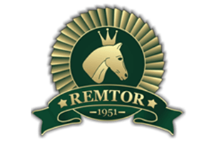 REMTOR SPÓŁKA Z OGRANICZONĄ ODPOWIEDZIALNOŚCIĄ logo
