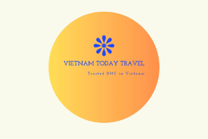 Vietnam Today Travel logo