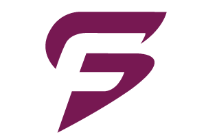 FDS SYSTEM logo