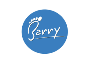Barry logo