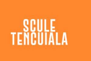 SCULE TENCUIALA S.R.L logo