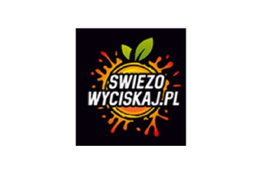 VIKLINOVA 2.0 Sp. z o.o. logo