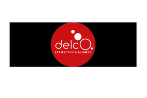 DELCO PERSPECTIVE & BUSINESS RAJMUND WILEWSKI logo