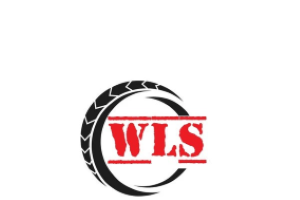 WLS Sp. z o. o. logo