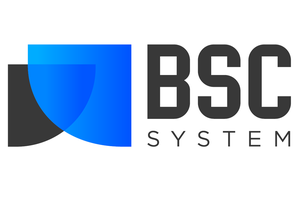 BSC SYSTEM