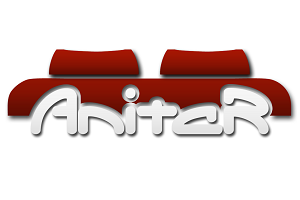 Przedsiębiorstwo Handlowo - Usługowe ANITAR Ignacy Piętek logo