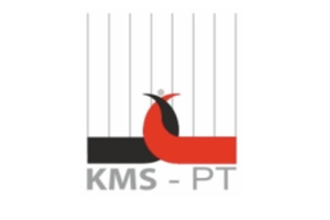 KMS-PT s.r.o logo