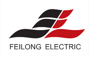 Feilong Home Electrical Group co., Ltd logo