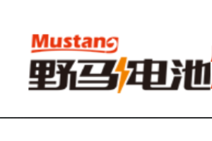 ZHEJIANG MUSTANG BATTERY CO.,LTD logo